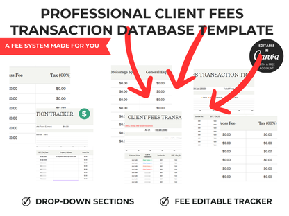 Client Fees Transaction Database Template
